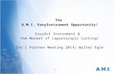 The A.M.I. EasyInstrument Opportunity! EasyAct Instrument & the Market of Laparoscopic Cutting! Int‘l Partner Meeting 2013| Walter Egle 1.