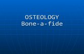 OSTEOLOGY Bone-a-fide. THE BARE BONES OF IT STRUCTURE STRUCTURE FUNCTION FUNCTION TYPES TYPES IDENTIFICATION IDENTIFICATION GROWTH, DEVELOPMENT & HEALING.