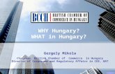 WHY Hungary? WHAT in Hungary? Gergely Mikola Chairman, British Chamber of Commerce in Hungary Director of Corporate and Regulatory Affairs in CEE, BAT.