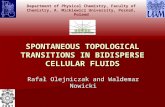 SPONTANEOUS TOPOLOGICAL TRANSITIONS IN BIDISPERSE CELLULAR FLUIDS Rafał Olejniczak and Waldemar Nowicki Department of Physical Chemistry, Faculty of Chemistry,
