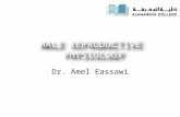 MALE REPRODUCTIVE PHYSIOLOGY Dr. Amel Eassawi. OBJECTIVES  Describe the physiological functions of the major components of the male reproductive system
