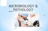 What is Microbiology? What is Pathology? Microbiology Is the study of micro-organisms Pathology Is the study of disease (pathogenic or non- pathogenic)