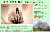 Text book cover Magnolia Flower – reproduction (key property of life) Close association with other organisms – beetles carry pollen and obtain food (energy.