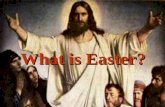What is Easter? The Easter Bunny? Easter Island? Easter Egg hunt? The Crucifixion? Happy Bunny Gift Set? Or a Happy Easter??? YES! Easter IS a very happy.