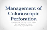 Management of Colonoscopic Perforation Joint Hospital Surgical Grand Round Dr Lee Wang Fai Frank Princess Margaret Hospital.