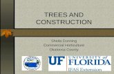 TREES AND CONSTRUCTION Sheila Dunning Commercial Horticulture Okaloosa County.