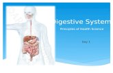 Digestive System Principles of Health Science Day 1.