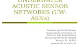UNDERWATER ACUSTIC SENSOR NETWORKS (UW-ASNs) Daladier Jabba Molinares Department of Computer Science and Engineering University of South Florida Tampa,