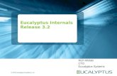 © 2012 Eucalyptus Systems, Inc. Eucalyptus Internals Release 3.2 Rich Wolski CTO Eucalyptus Systems.