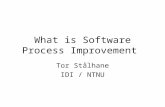 What is Software Process Improvement Tor Stålhane IDI / NTNU.