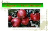 Chapter 7 Fruit Disease. Section 2 Fruit Disease.