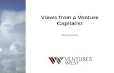 Views from a Venture Capitalist Nancy Harrison. Venture Capital Investment in Canadian Companies Excludes Canadian VC investments in foreign companies.