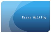 Essay Writing. 3 Essays Compare/Contrast Change over time Document Based Questions.
