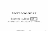 1 Macroeconomics LECTURE SLIDES SET 5 Professor Antonio Ciccone Macroeconomics Set 5.