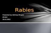 Rabies Presented by Abhinay Bhugoo Ml-610 18.11.2011.