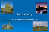 Salisbury By Erinn Dunworth 7N. Where is Salisbury?  Salisbury is a city in Wiltshire, England.  Our school, South Wilts, is on Stratford road.  Cities.