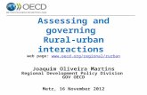 Assessing and governing Rural-urban interactions web page:  Joaquim Oliveira Martins Regional Development.