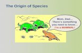Mom, Dad… There’s something you need to know… I’m a MAMMAL! The Origin of Species.