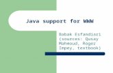 Java support for WWW Babak Esfandiari (sources: Qusay Mahmoud, Roger Impey, textbook)