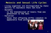 1 Meiosis and Sexual Life Cycles Living organisms are distinguished by their ability to reproduce their own kind Heredity – Is the transmission of traits.