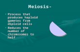 Meiosis- Process that produces haploid gametes from diploid cellsProcess that produces haploid gametes from diploid cells Reduces the number of chromosomes.