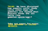 Think: We have discussed how somatic cells (body cells other than the gametes) are formed…what process forms the sex cells (the gametes- sperm/egg)? Take.
