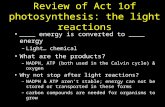 Review of Act 1of photosynthesis: the light reactions ____ energy is converted to ____ energy –Light… chemical What are the products? –NADPH, ATP (both.