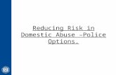 Reducing Risk in Domestic Abuse –Police Options..