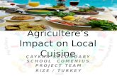 Agricultere’s Impact on Local Cuisine ÇAYKUR SECONDARY SCHOOL COMENIUS PROJECT TEAM RiZE / TURKEY.