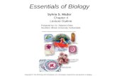 Essentials of Biology Sylvia S. Mader Chapter 4 Lecture Outline Prepared by: Dr. Stephen Ebbs Southern Illinois University Carbondale Copyright © The McGraw-Hill.
