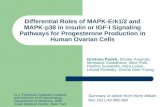 Differential Roles of MAPK-Erk1/2 and MAPK-p38 in Insulin or IGF-I Signaling Pathways for Progesterone Production in Human Ovarian Cells Summary of article.