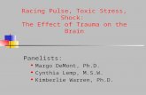 14 th ANNUAL TRAUMA SYMPOSIUM Racing Pulse, Toxic Stress, Shock: The Effect of Trauma on the Brain Panelists: Margo DeMont, Ph.D. Cynthia Lemp, M.S.W.