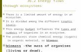 36.2 Energy flows through ecosystems  There is a limited amount of energy in an ecosystem.  It is divided among the different trophic levels.  This.