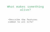 What makes something alive? Describe the features common to all life?