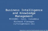 Business Intelligence and Knowledge Management MIS5801: Cali, Colombia Richard Flanagan (ryflanag@temple.edu) Adapted fronm material by Schuff, Mandviwalla,