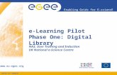INFSO-RI-508833 Enabling Grids for E-sciencE   e-Learning Pilot Phase One: Digital Library NA3, User Training and Induction UK National e-Science