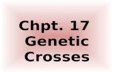 Chpt. 17 Genetic Crosses. Gregor Mendal is known as the father of genetics!!!