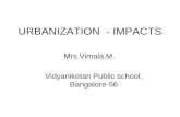 URBANIZATION - IMPACTS Mrs.Vimala.M. Vidyaniketan Public school, Bangalore-56.