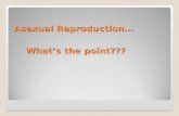 What’s the point??? Asexual Reproduction…. Three reasons why cells reproduce by asexual reproduction: 1. Growth 2. Repair 3. Replacement Cell that reproduce.