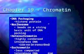 Chapter 19 - Chromatin DNA PackagingDNA Packaging histone proteinhistone protein NucleosomeNucleosome ”beads on a string” basic unit of DNA packing”beads.