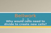 Why would cells need to divide to create new cells?