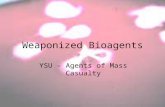 Weaponized Bioagents YSU – Agents of Mass Casualty.