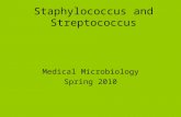 Staphylococcus and Streptococcus Medical Microbiology Spring 2010.