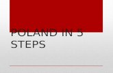 POLAND IN 5 STEPS STEP 1 : GENERAL INFORMATION Population– 38.5 mln Area - 312 679 km² neighbours – Germany, Czech Republic, Slovakia, Ukraine, Belarus,