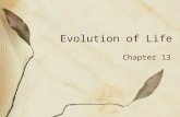 Evolution of Life Chapter 13. Origin of Life Age of Planet Earth - 4.6 billion years Oldest fossils - 3.5 billion years Possible Formation of the First.