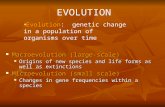 EVOLUTION Evolution: genetic change in a population of organisms over time Macroevolution (large-scale) Macroevolution (large-scale) Origins of new species.