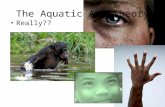 The Aquatic Ape Theory Really??. HAPPY HALLOWEEN Mermaids: The Body Found…