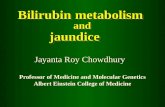 Bilirubin metabolism and jaundice jaundice Jayanta Roy Chowdhury Professor of Medicine and Molecular Genetics Albert Einstein College of Medicine
