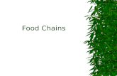 Food Chains. Living Things Depend on Each Other Making and Getting Food  Interact with environment  Why do animals interact with the environment to.