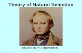 Theory of Natural Selection Charles Darwin (1809-1882)